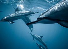 开云体育-亚傅体育app下载安装安装